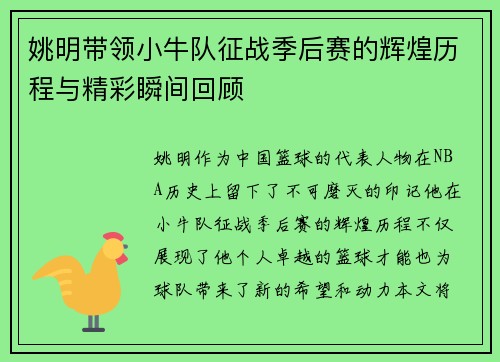 姚明带领小牛队征战季后赛的辉煌历程与精彩瞬间回顾